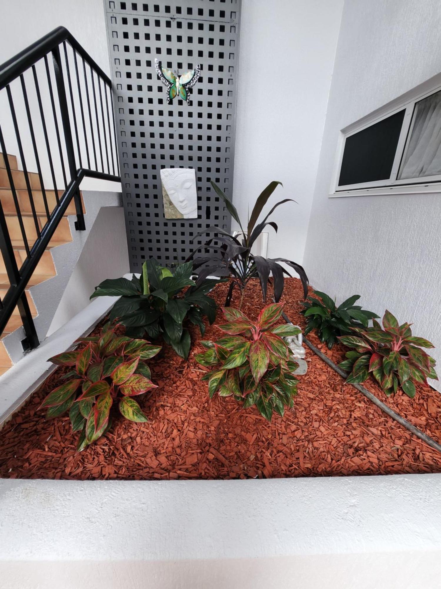 Villa Vaucluse Apartments Cairns Eksteriør bilde
